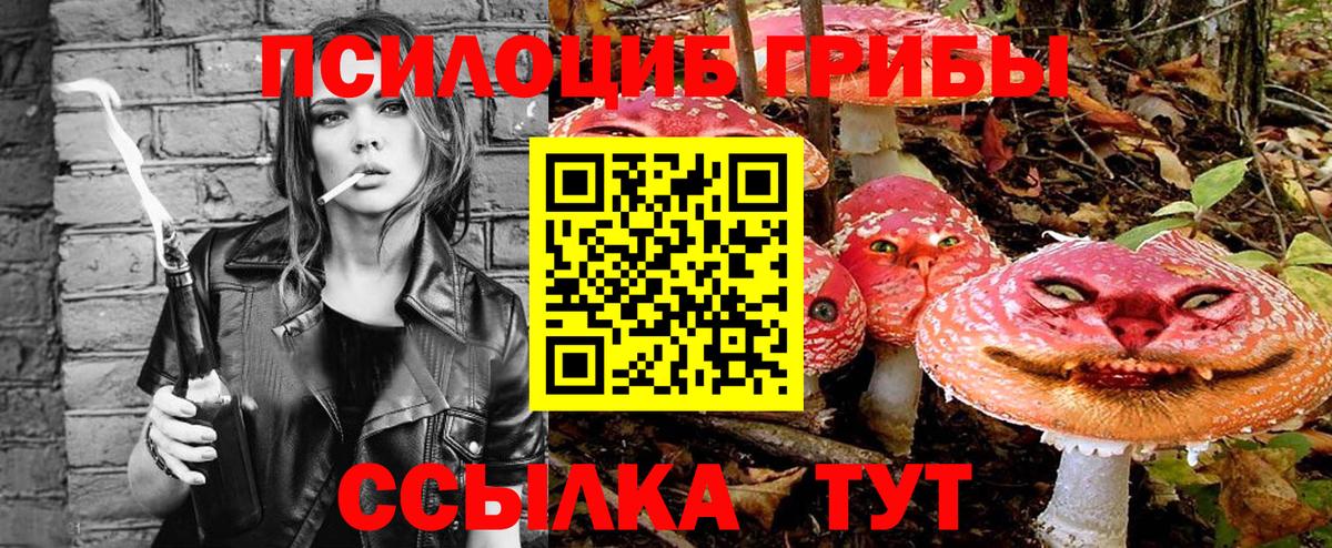 Галлюциногенные грибы прущие грибы  Галлюциногенные грибы мицелий  Ноябрьск  Вход с VPN 